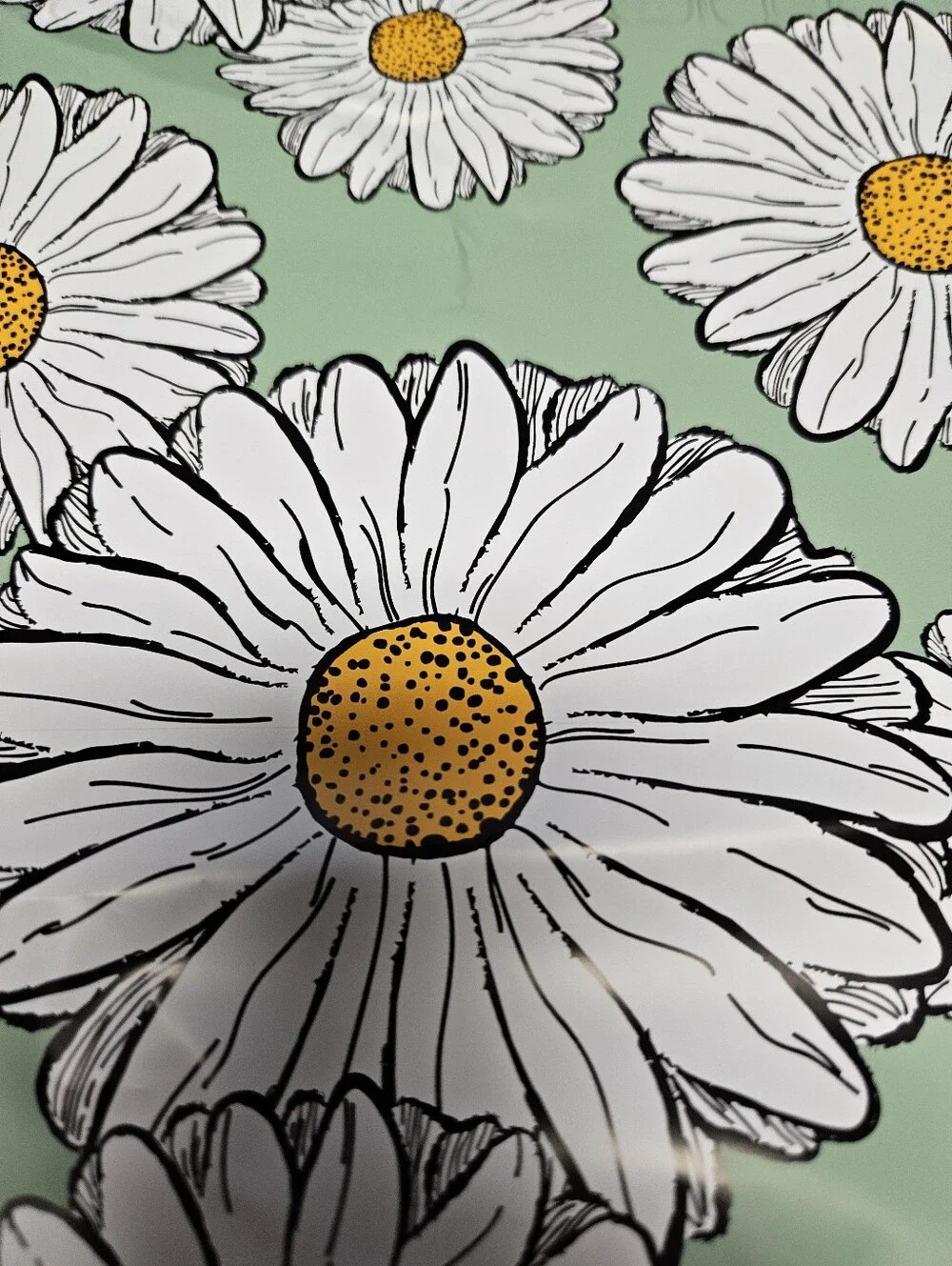 Green Daisy Polymailer Packages